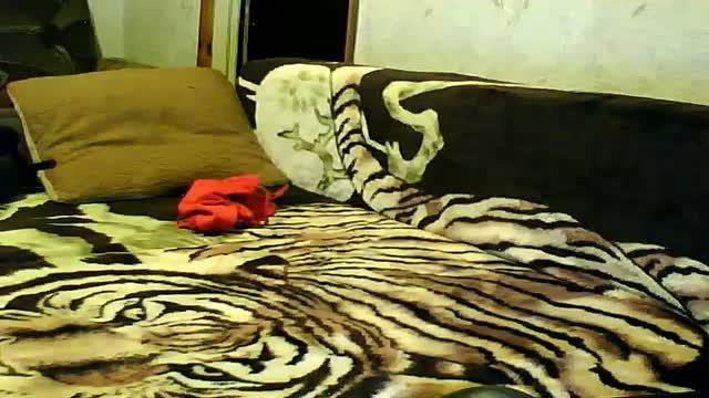 streetlove123 video [2017/01/18 21:23:23]