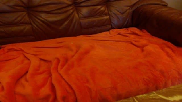 celliz download [2017/02/03 15:15:43]