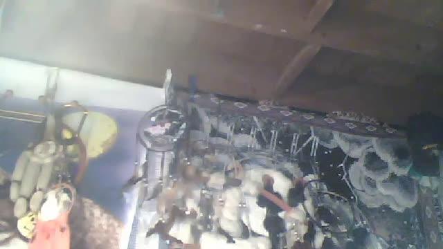 markpabearz download [2017/01/24 02:15:26]