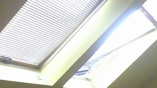 adamo45 video [2015/09/19 05:31:06]
