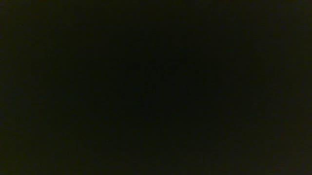 delialuna show [2017/01/20 09:45:53]