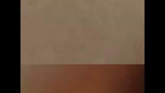 visualviagrax porno [2016/09/17 18:25:26]