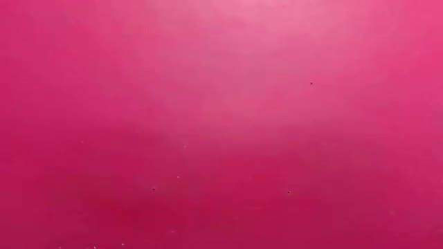 naomiharris show [2017/01/22 06:30:33]
