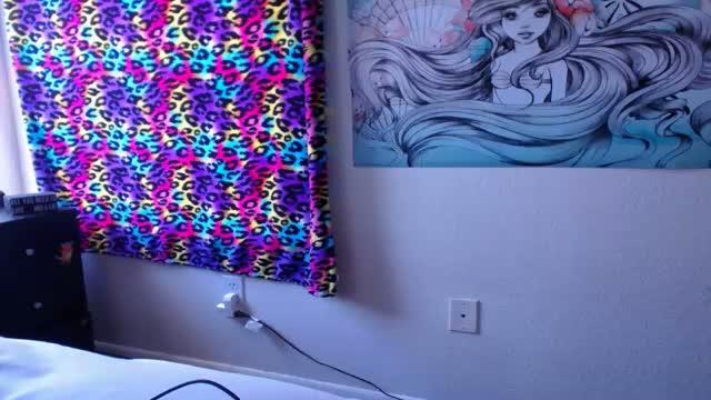 purrfessional cam [2015/07/30 18:30:44]