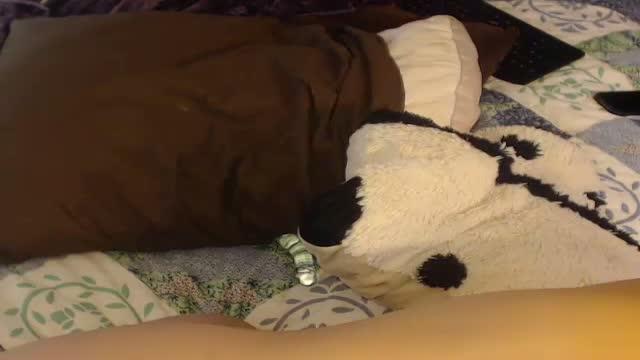 jessicawabbit sex [2017/01/19 00:07:55]
