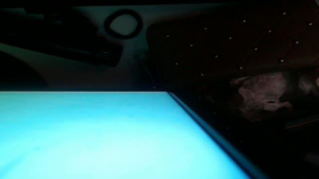 cesarnpage download [2015/07/10 04:31:07]