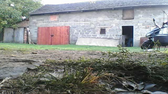 dareeeek show [2015/10/06 14:15:41]