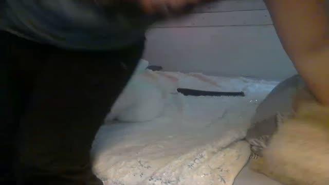 itaniee sex [2016/02/22 12:59:34]