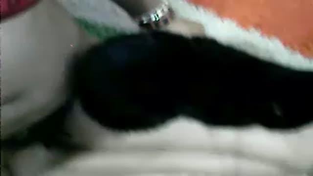 asian_lea cam [2017/01/20 05:32:43]