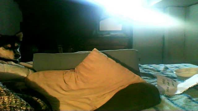 xx_tae_xx adult [2017/02/01 17:00:53]