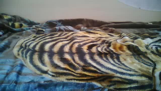 angelka1 show [2017/02/04 10:16:58]