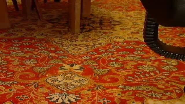 kocurek1953 show [2015/09/22 17:15:42]