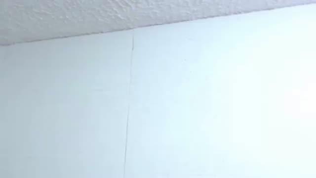 hot_pair77 video [2017/01/29 13:12:51]