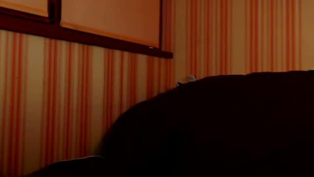 monica_xx porno [2015/08/14 20:30:53]