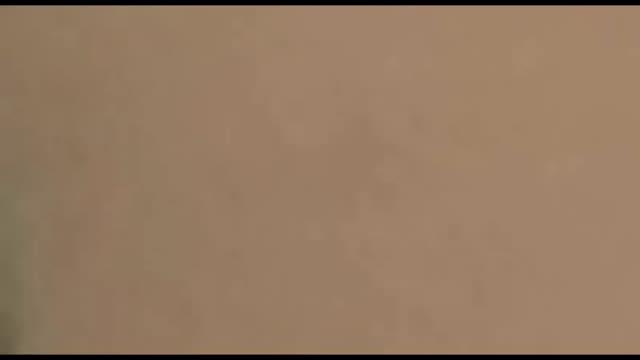 visualviagrax show [2016/10/03 07:05:27]