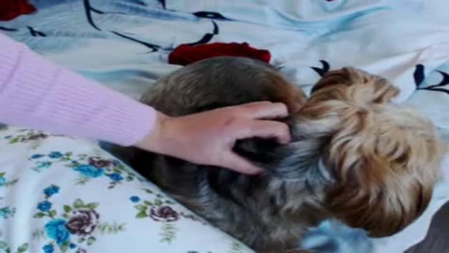 alebunny recorded [2015/11/16 09:45:53]