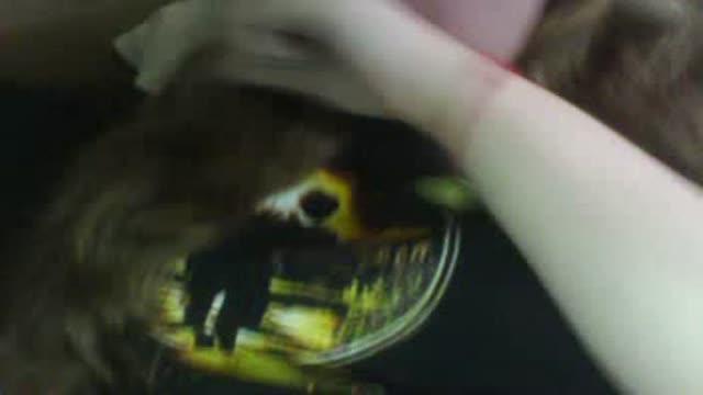 carmilla sex [2015/09/28 16:00:51]