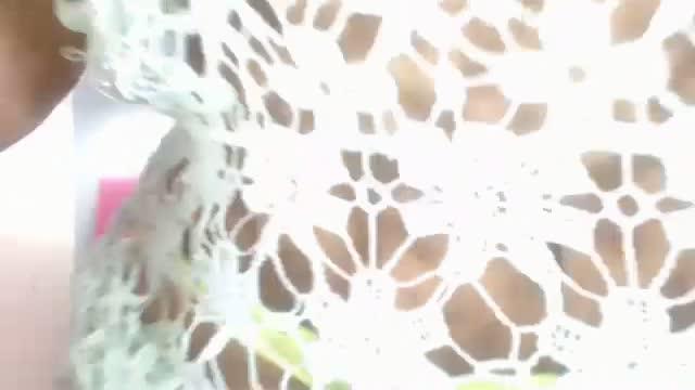 ginahot1 download [2017/01/19 17:15:42]