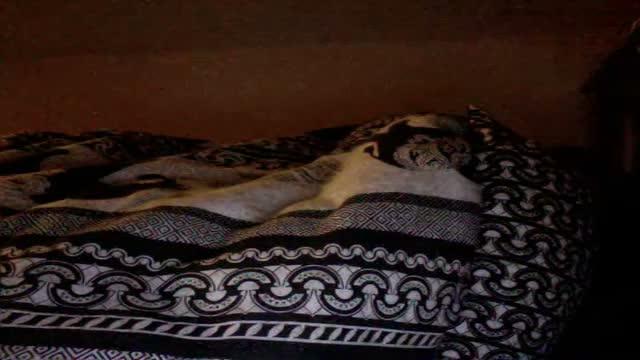 emmylou porno [2017/01/22 00:00:53]