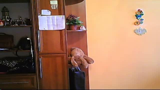 luckybb_ video [2017/01/22 11:30:54]