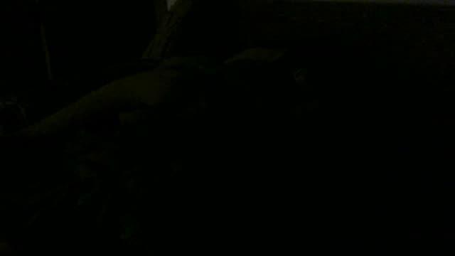 just_myna show [2017/01/31 01:28:36]