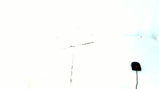 xalisa sex [2016/07/10 19:15:28]
