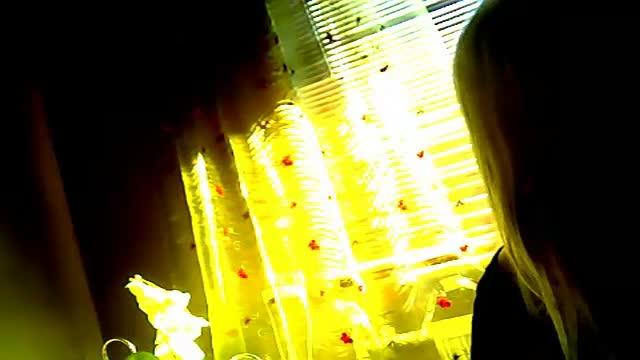 adrastea naked [2017/01/19 21:42:21]