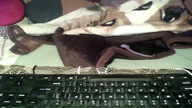 larwunia naked [2015/05/22 04:35:27]