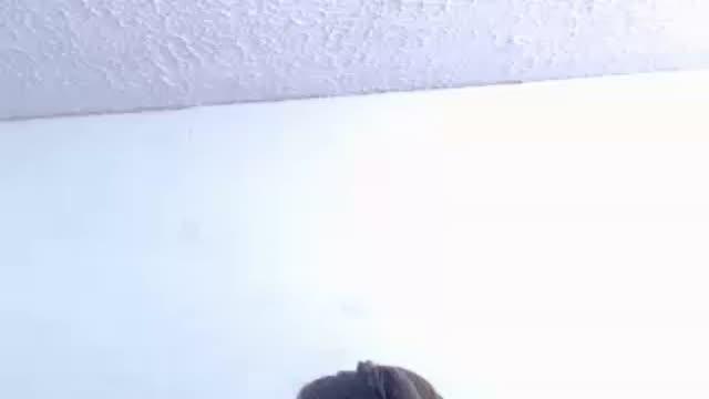 hot_pair77 download [2017/01/20 12:36:55]