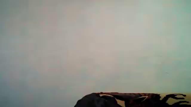 lauren088 adult [2017/01/19 11:16:00]