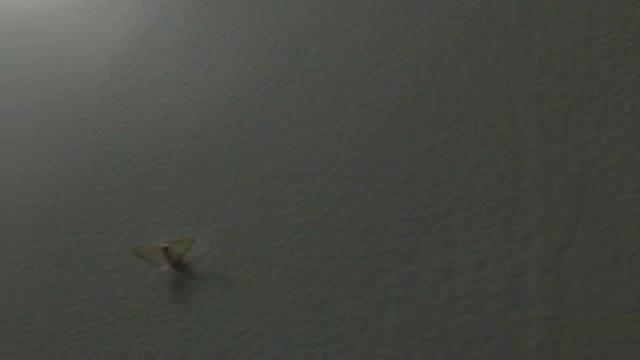 miss_mouse xxx [2016/02/26 00:30:53]