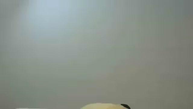 heleny21 porno [2017/01/22 17:00:30]