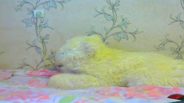 myssika21 show [2016/08/02 16:27:27]