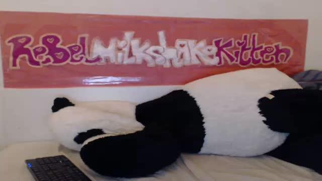 rebelmilkshakekitten webcam [2015/11/18 02:00:58]