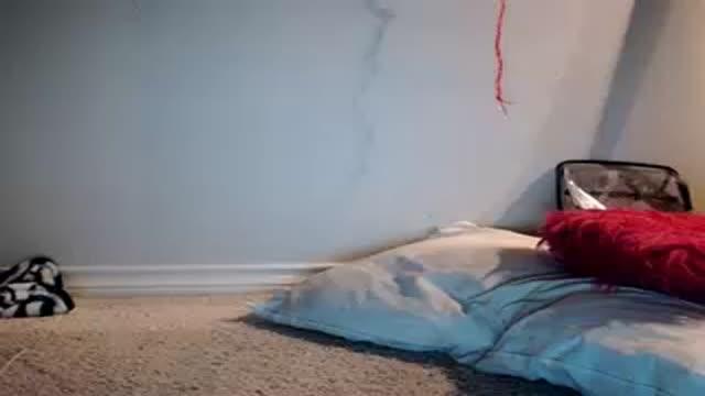 alannarack video [2016/04/09 10:25:31]