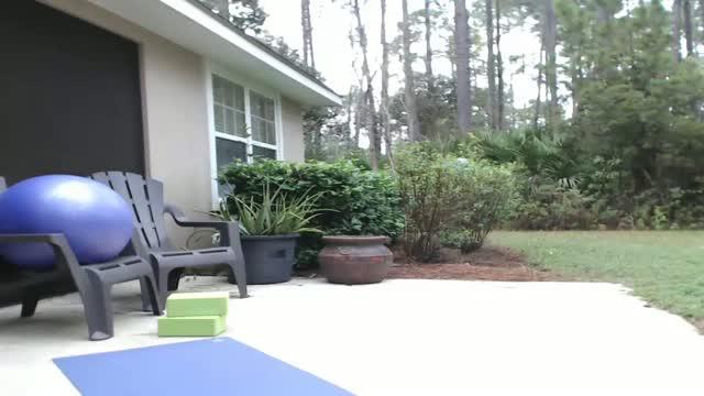 holihurricane video [2017/01/26 21:48:02]