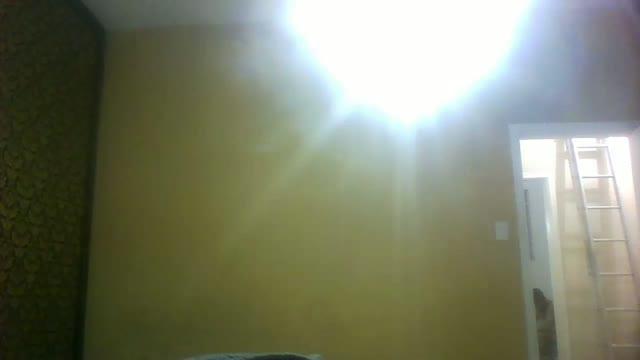 loganxtreme
