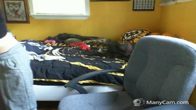 pitbull_love nude [2017/01/19 21:18:27]