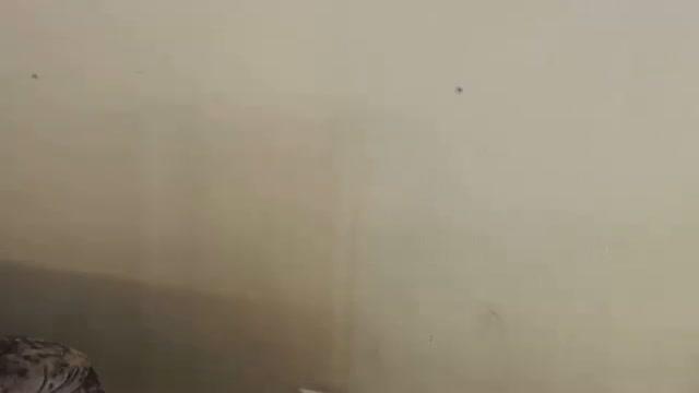avrola naked [2017/01/30 18:10:35]