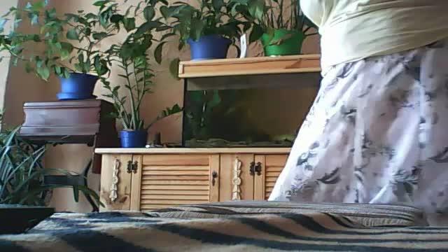 pusia72 video [2017/01/30 09:32:09]