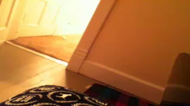 onlyonce1111 adult [2017/01/30 05:05:16]