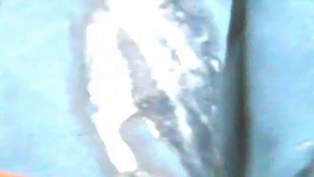 typhoon56 nude [2017/01/28 14:30:28]