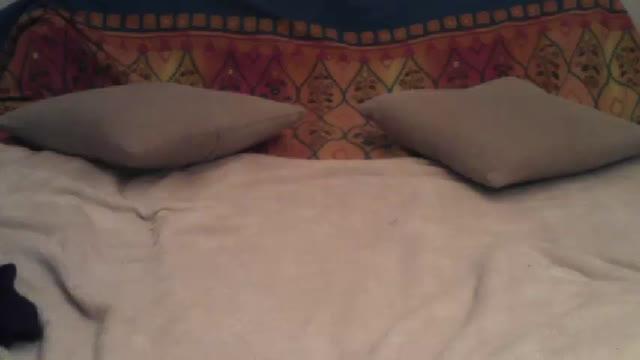 piggypollon adult [2017/01/22 17:06:21]