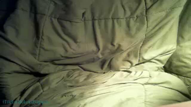 thehiddenhippie webcam [2016/04/22 05:01:57]
