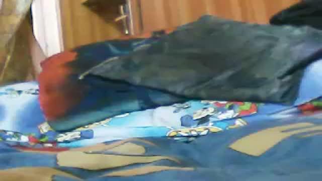 afroditalv [2015/11/03 14:00:46]