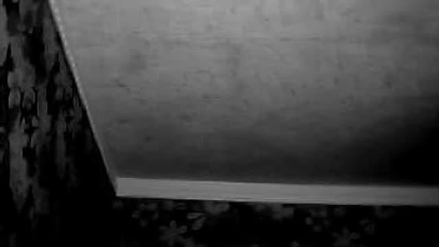 w_a_s_p sex [2015/09/29 12:30:26]
