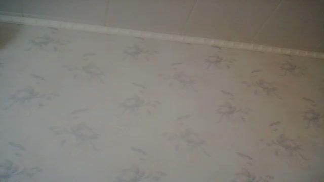 one_lovexxl video [2016/02/25 07:01:32]