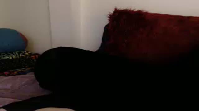 thewolfmaam xxx [2016/05/13 08:53:59]