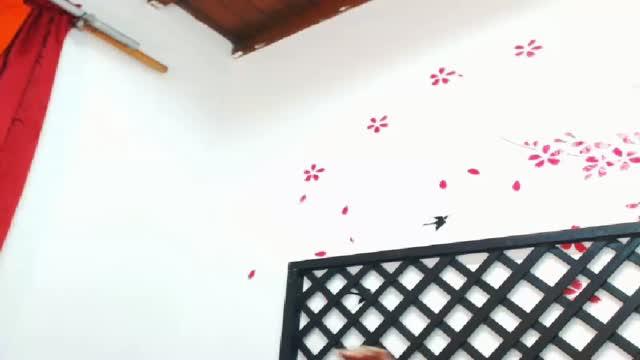 zeuhz recorded [2017/01/28 05:19:21]