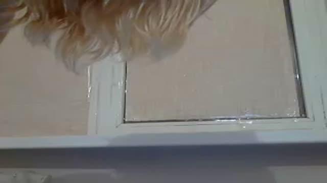 mirela__ show [2015/06/18 01:30:46]